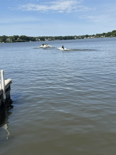 IMG 3256
